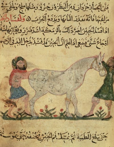 A Veterinarian Helping a Mare to Give Birth, Illustration from the 